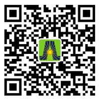 深圳市赢咖娱乐新能源有限公司